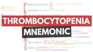 Causes of Thrombocytopenia Mnemonic  PLATELETS  What are the causes of thrombocytopenia [upl. by Levine417]