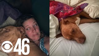 Polk County woman wakes up to stranger’s dog sleeping in her bed [upl. by Htial]