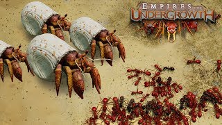 BATTLE ON THE BEACHES  Empires of the Undergrowth BETA Gameplay  Ep4 [upl. by Peonir]