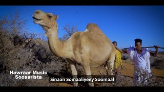 MASLAX MIDEEYE SOOMAAL NEW OFFICIAL VIDEO 2021 [upl. by Anillek]