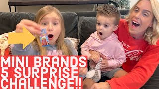 Sopo Squad Mini Brands Shopping Challenge Vlog [upl. by Llednol72]