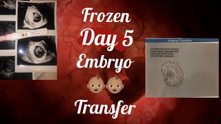 My Successful Frozen Embryo Transfer  Day 5 Blastocyst  7 weeks Pregnant Update💓 [upl. by Ternan34]