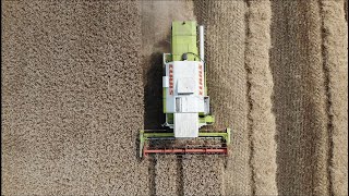 Graan oogsten in Westerwolde drone video [upl. by Vogel]