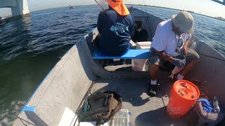 Jamaica bay porgy fishing nyc 9102022 [upl. by Llemmart]