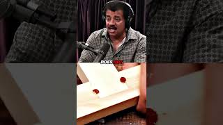 Neil deGrasse Tyson On Asking Questions [upl. by Rosco]