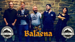 Bruach  The Balaena  Live Scottish Folk Music 2024 [upl. by Ryan]