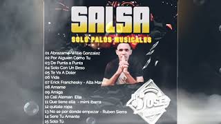 SALSA SOLO PALOS MUSICALES2024DJ JOSE EL EXCLUSIVO [upl. by Gene]