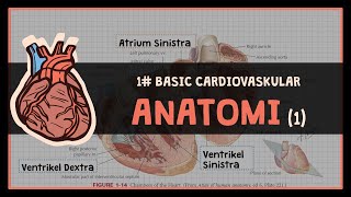 12 Anatomi Struktur Jantung  1 BASIC CARDIOVASKULAR [upl. by Atteve]