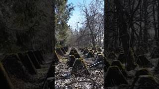 siegfried line Panzersperre westwall worldwar2 panzer war wald history germany tank [upl. by Yrot]