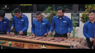 Cover en marimba pura de la Melodía titulada La Nena de Cosme Tadeo y Edén Muñoz [upl. by Linnell312]