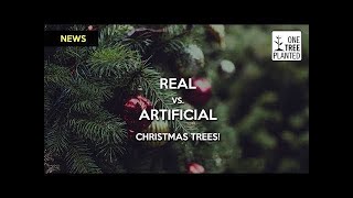 FAKE vs REAL Most EcoFriendly Christmas Tree  One Tree Planted [upl. by Ciardap]