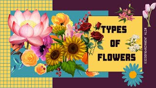 types of flowers flowers name 10 flowers name flower flowers name for kids Flowers Name Basic [upl. by Lee583]