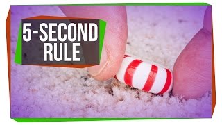 Is the FiveSecond Rule Real [upl. by Chappelka]