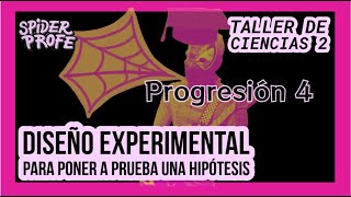 Spider Profe  Taller de Ciencias 2  Diseño Experimental para Poner a Prueba una Hipótesis P4 [upl. by Aiuqat]