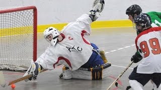 Crazy Ball Hockey GoalsSavesScrums [upl. by Dymphia]