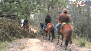 cabalgatas en La Calera Cundinamarca [upl. by Ajay]