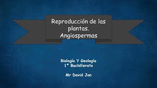 Reproducción de las plantas  Angiospermas 1 [upl. by Netsrik279]