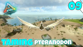 taming pteranodon  ARK survival evolved Mobile  episode 9  ark [upl. by Anaj]