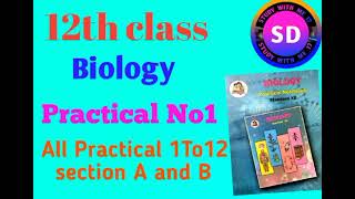 12th Class Biology Experiment 1Study of osmosis by potato osmoscope [upl. by Anirazc832]