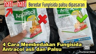 Hati hati Fungisida Palsu Antracol Beredar dipasaran ini ciricirinya [upl. by Marcelline]