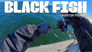 BlackFishing On Boat Caught LIMIT [upl. by Lebana866]