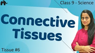 Connective Tissues Tissues6  Class 9 Science [upl. by Aeikan]