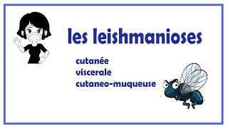 🔵les leishmanioses [upl. by Cartwright]