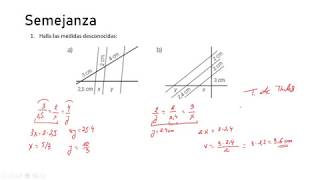 Tema 8 Ejercicios de Semejanza I  Mates 3º ESO [upl. by Idhem]