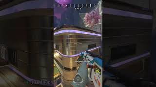 The Powerful P2020 apexshorts apexlegends apex apexlegendsclips gaming [upl. by Yeldar755]