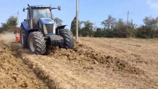 PLOWING  New holland tg 255 quadrivomere portato angeloni [upl. by Akinyt]