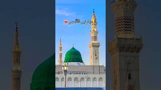 Syeda Areeba Fatima  Paigam Saba Lai Hai  New Naat 2024  Aya Hai Bulawa  Beautiful Videoshorts [upl. by Darees]