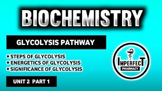 Glycolysis Pathway  Energetics And Significance Of Glycolysis  Carbohydrates Metabolism  Biochem [upl. by Horsey992]