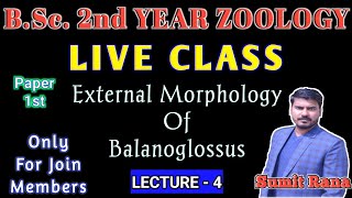 Lt04Live  External Morphology Of Balanoglossus  Zoology 1st Paper  BSc2nd Year [upl. by Lowe]