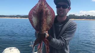 Mega Westernport Calamari [upl. by Kotta]