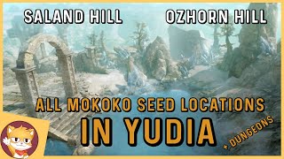 Where To Find All Mokoko Seeds in Yudia  Lost Ark Mokoko seed locations [upl. by Zelde]