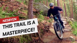 Den Ravinde  TRAIL PREVIEW  Nesbyen Norway 🇳🇴  2023 [upl. by Sessylu]