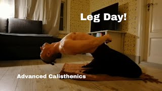 Advanced Calisthenics Leg Workout No equipment [upl. by Uel]