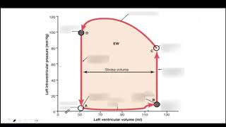 Seminario repaso cardio valvulopatias [upl. by Nathanil924]