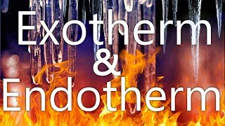 Exotherme und Endotherme Reaktionen  WHChemie Projekt [upl. by Anelram735]