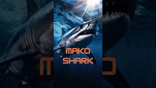 Mako Shark Facts Did you know this about Mako Sharks oceanlife sharks [upl. by Arikahc]