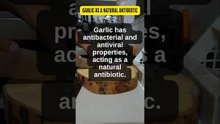 03 Garlic as a Natural Antibiotic Garlic Nature’s Powerful Antibiotic for Fighting Infections [upl. by Hadihsar]