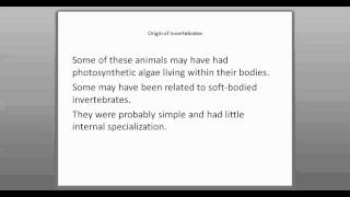 291 Invertebrate Evolution Part 1 [upl. by Ramsey]