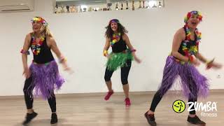 ZUMBA  LA VIDA ES UN CARNAVAL MALUMA [upl. by Cirdla717]