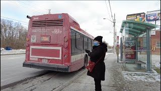 TTC 70A OConnor Bus Ride 8560 from Coxwell Stn to StClair East amp OConnor Dr January 17th 2024 [upl. by Lawrenson]