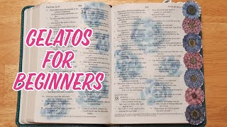 Using Gelatos In Our Bible Garden For Beginners [upl. by Doralia]