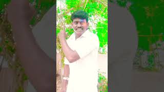 muthu ratham polatamil song trending 🎵song💞💞 love💓 dute song [upl. by Bores]