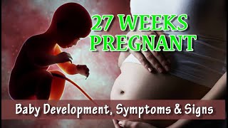 27 Weeks Pregnant Baby Development Symptoms amp Signs  What should i be doing at 27 weeks pregnant [upl. by Panther]