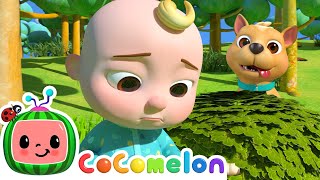 Where Has My Little Dog Gone  CoComelon Animal Time  Animal Songs for Kids [upl. by Wernsman]