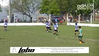 adn ALMIRANTE JUEGA LA FINAL [upl. by Hellman]