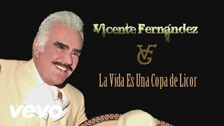 Vicente Fernández  La Vida Es una Copa de Licor Cover Audio [upl. by Leona]